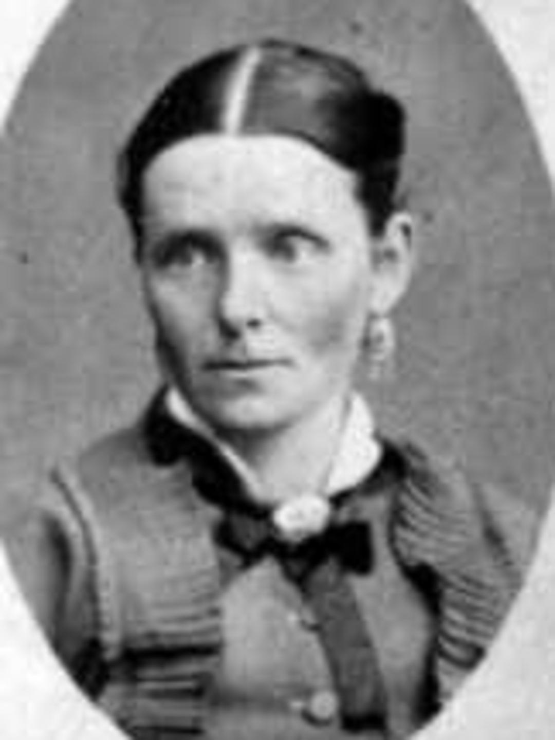 Sarah Ellen Smithies (1847 - 1917) Profile